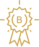 logo bronze myzoom